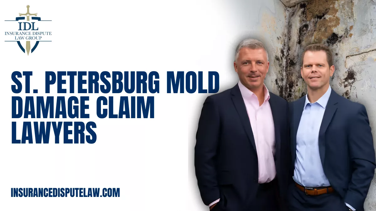 Mold damage in your home or business can cause serious health issues and significant property damage. If you are facing such a situation, St. Petersburg mold damage claim lawyers at Insurance Dispute Law Group can help protect your rights and ensure you receive the compensation you deserve. Mold-related insurance claims can be complicated, and having experienced legal guidance is critical to navigating the process effectively.