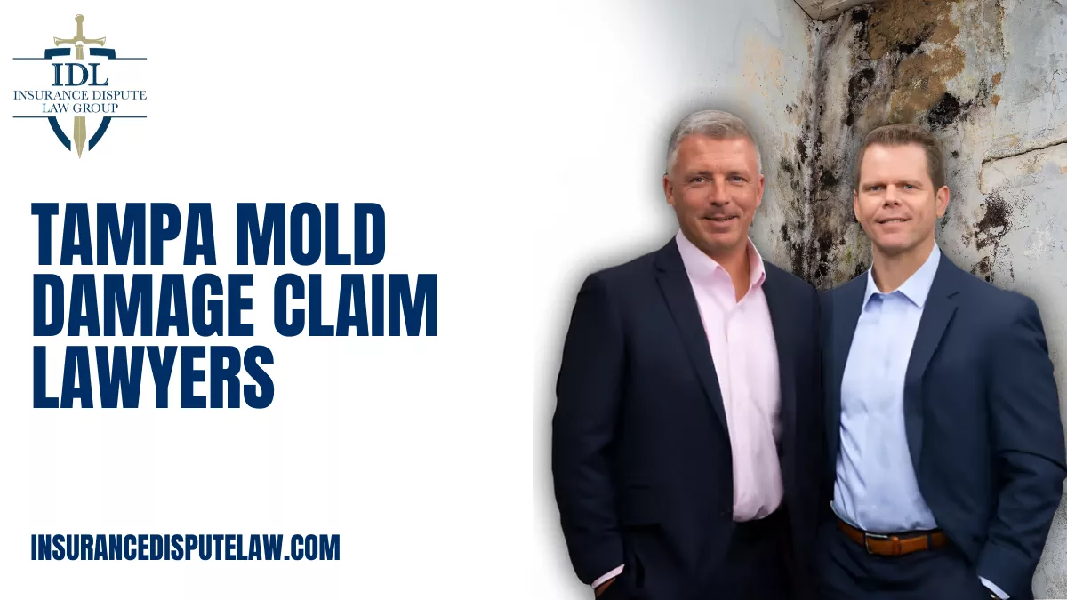 Dealing with mold damage in your home or property can be stressful, costly, and potentially dangerous to your health. When insurance companies attempt to deny or minimize claims, having experienced legal support is crucial. Tampa mold damage claim lawyers at the Insurance Dispute Law Group specialize in helping property owners navigate mold-related insurance claims, ensuring your rights are protected and your claim receives the compensation you deserve.