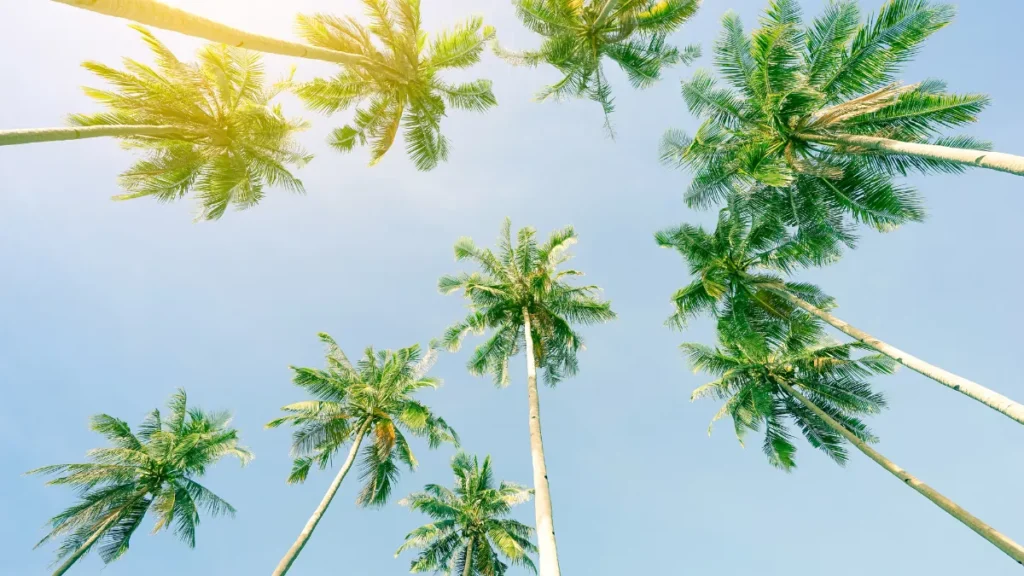 Many drivers misunderstand who has the right of way in different traffic situations. Unfortunately, even a brief moment of confusion or impatience can lead to serious injuries and costly damages.